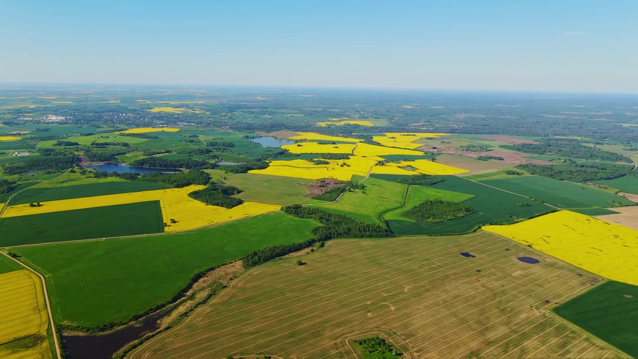 Zonnig Noord-Europees terrein strekt zich uit naar de verre horizon, heldere lucht.