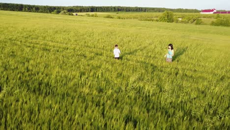 woman walking in the field. mother enjoying walk in beautiful wheat field
