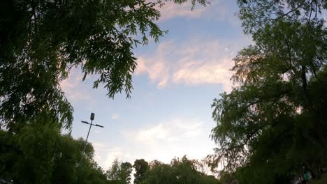 time lapse of moving clouds over green trees at the park