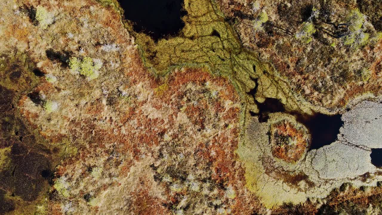 Abstract peatland surface showing natural formations in earth tones, Drone