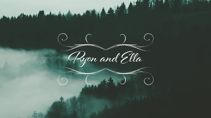 Misty Forest Landscape