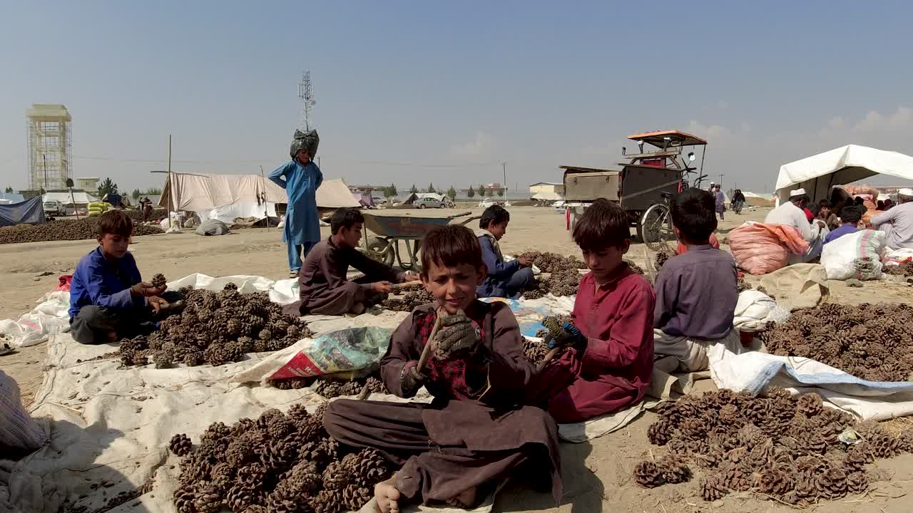 Child Labor in Nut Cleaning