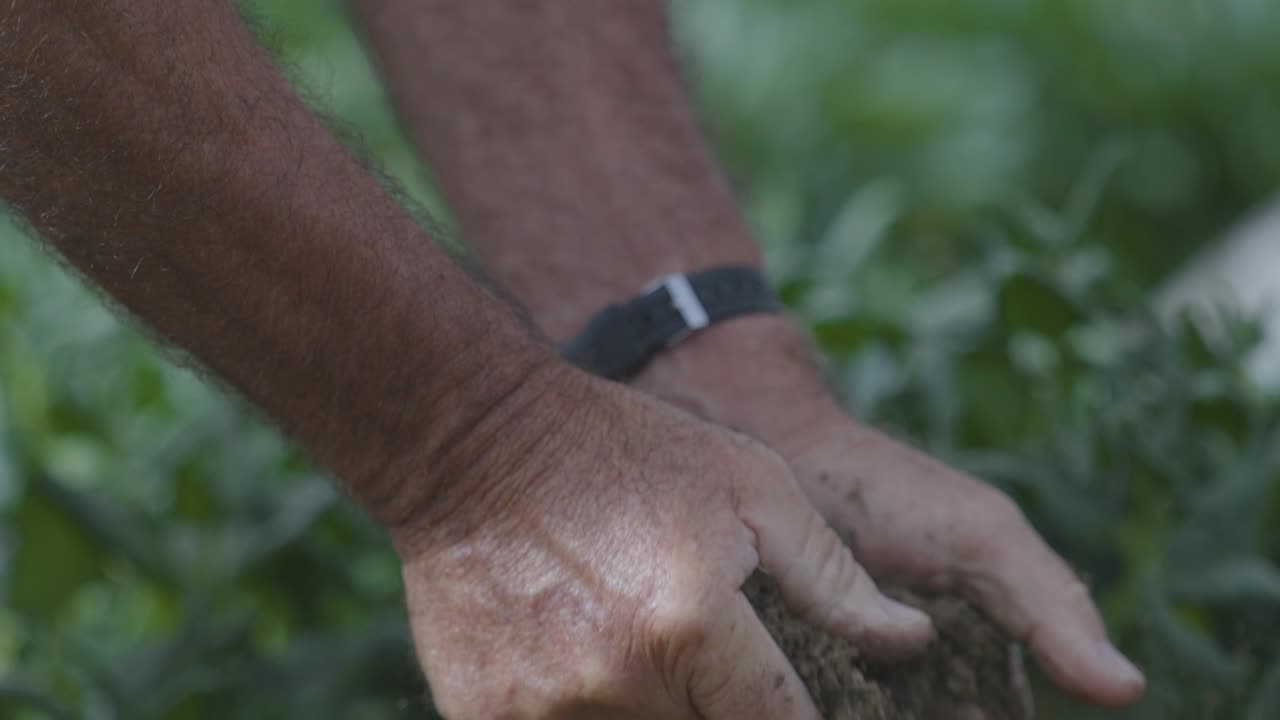 Two old man hands handling dirt in slow motion