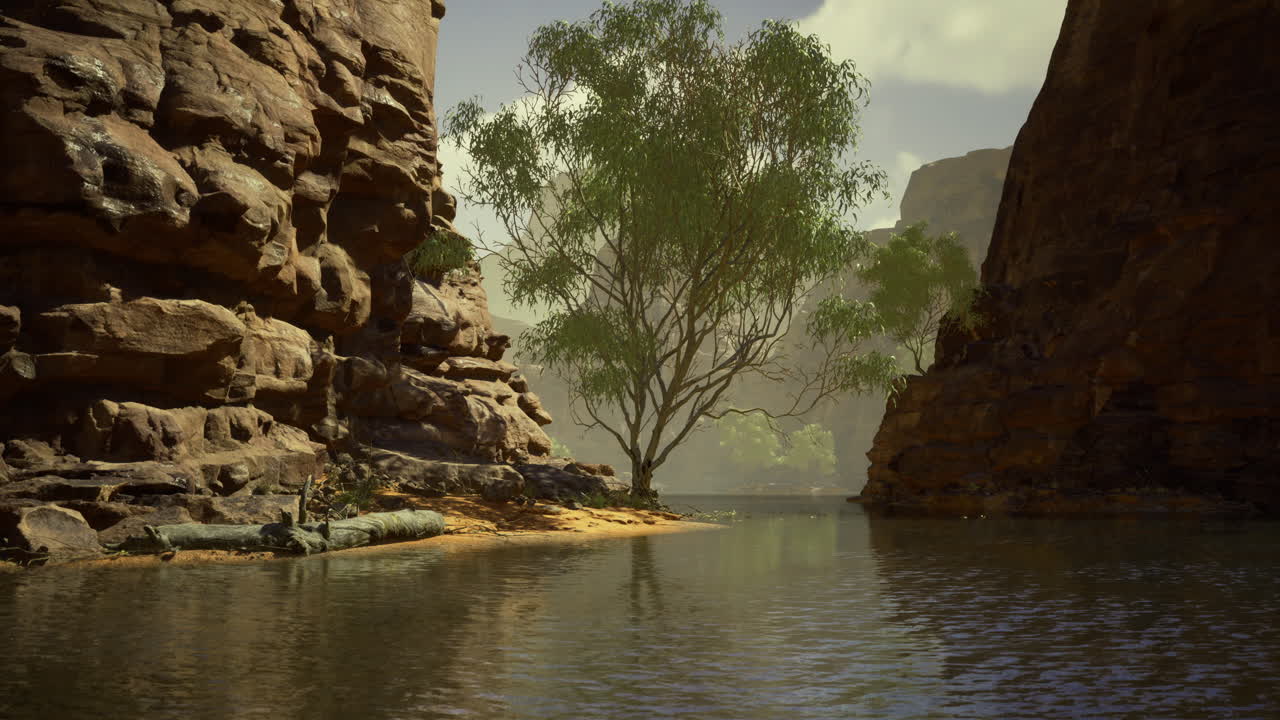 River flows between rugged cliffs with a solitary tree in sunlight
