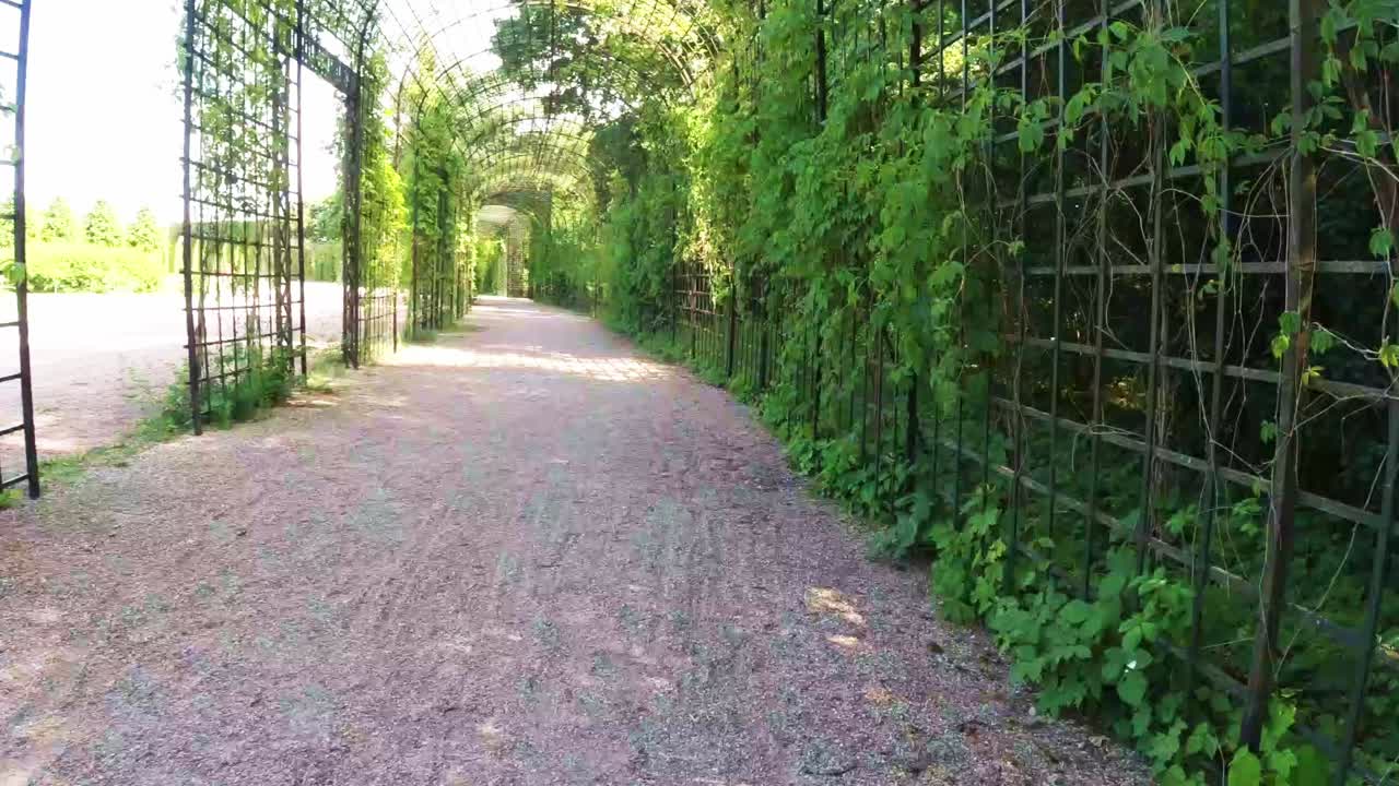 hiperlapso a través de hermosos setos arqueados en el soleado día de primavera