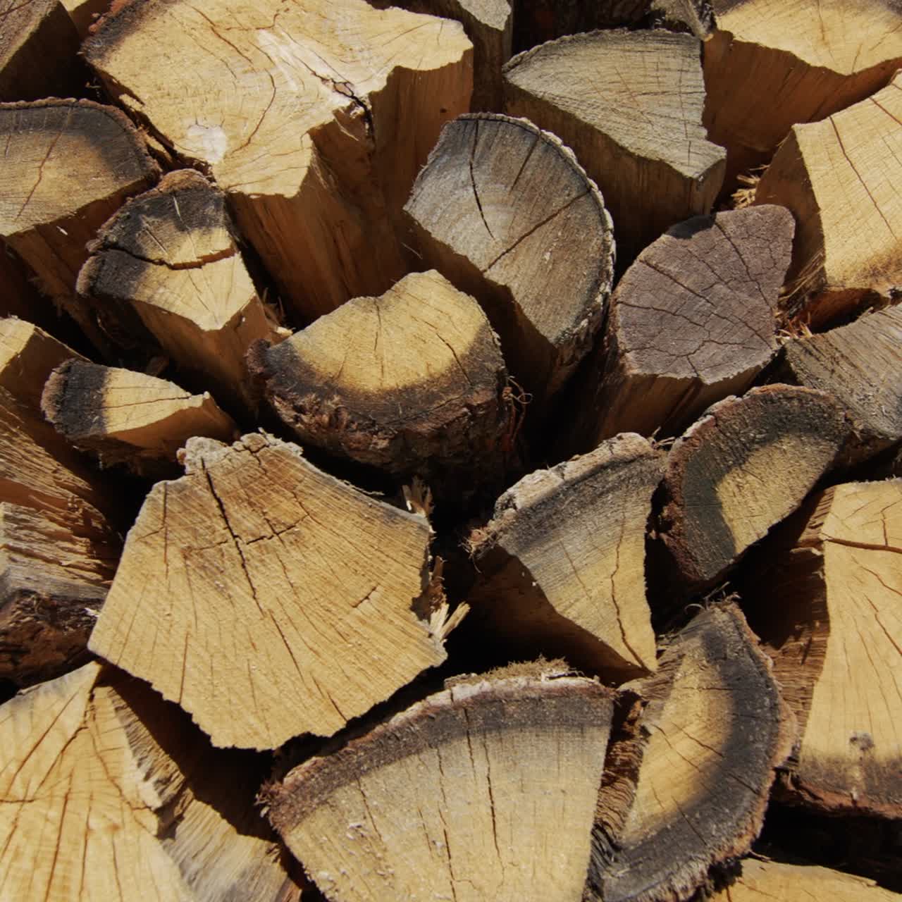 가시가 많은 오크 나무는 바닥 1에 놓여 있습니다.