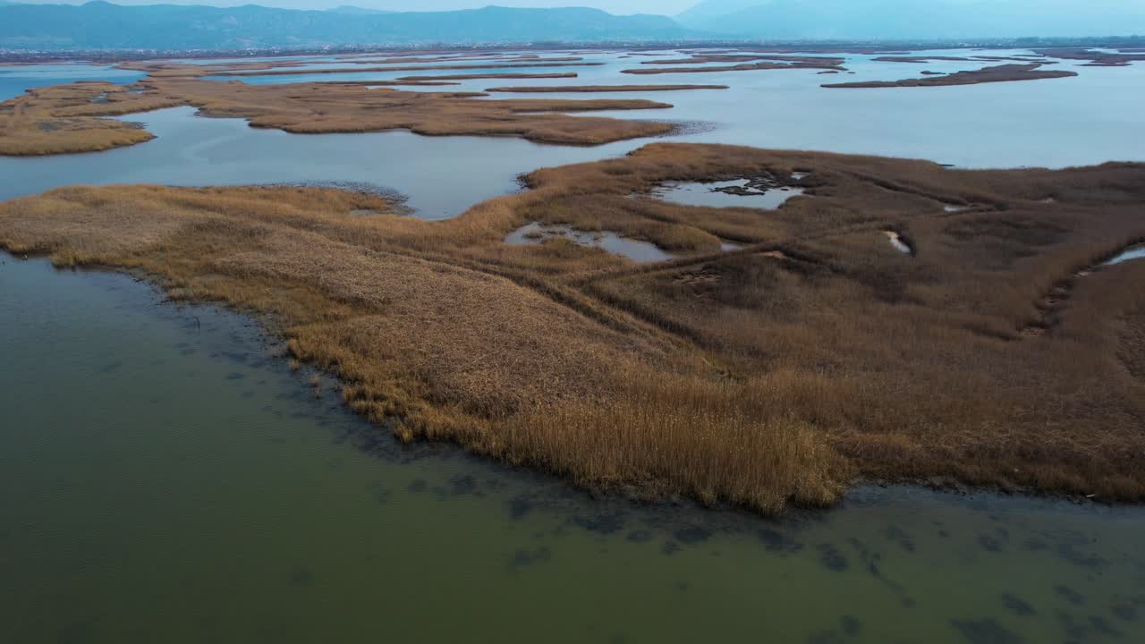 hierba marrón seca en la laguna con aguas poco profundas en invierno, santuario natural de aves en albania