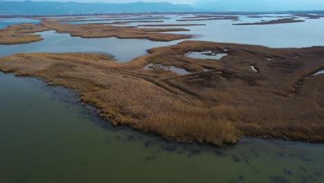 Trockenes-Braunes-Gras-Auf-Der-Lagune-Mit-Flachem-Wasser-Im-Winter,-Natürliches-Vogelschutzgebiet-In-Albanien