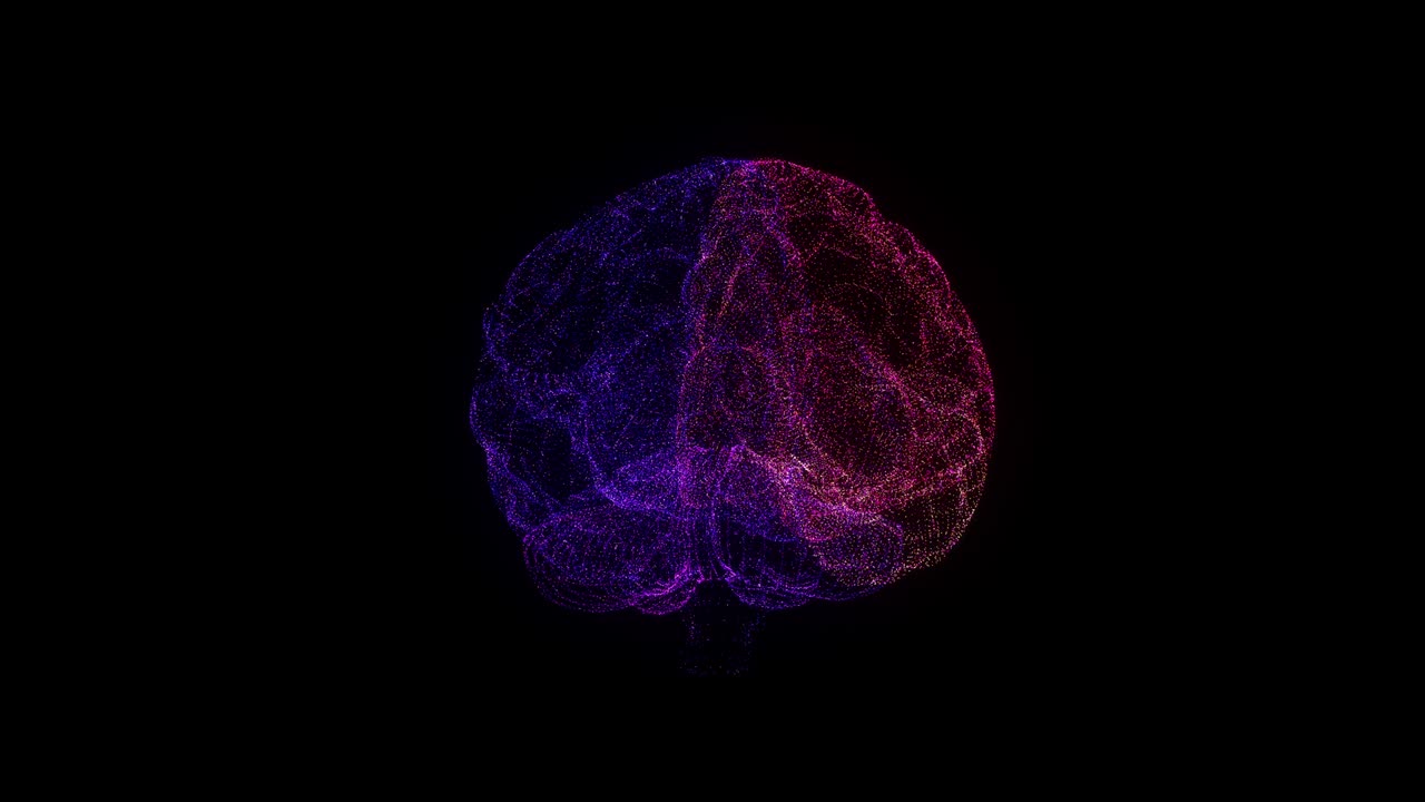 Brain RGB Hologram Wireframe. Nice 3D Animation on a black background ...