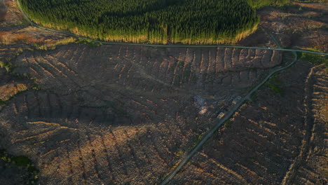 Vista-Sombría-Del-área-De-Deforestación-En-Nueva-Zelanda,-Vista-Aérea-De-Drones