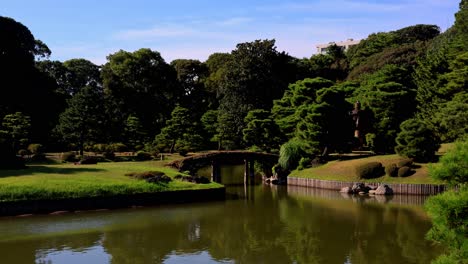 the beautiful view in rikugien gardens