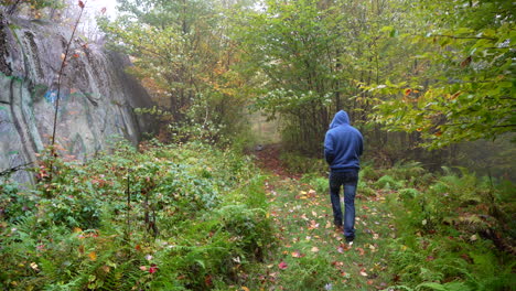 Hombre-Caminando-En-Un-Sendero-Forestal-En-El-Este-De-Canadá-Otoño-1