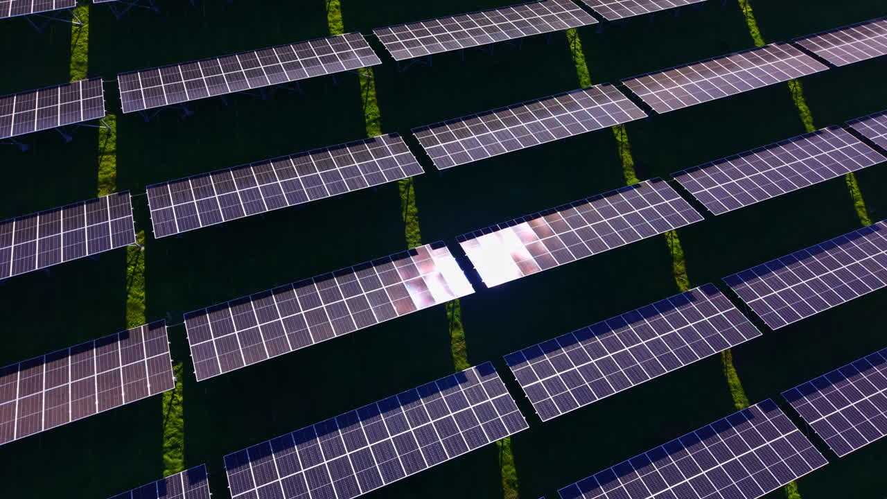 File di pannelli solari sono illuminati dalla calda luce del sole in una giornata limpida, mettendo in risalto il meglio dell'energia rinnovabile in un lussureggiante campo verde