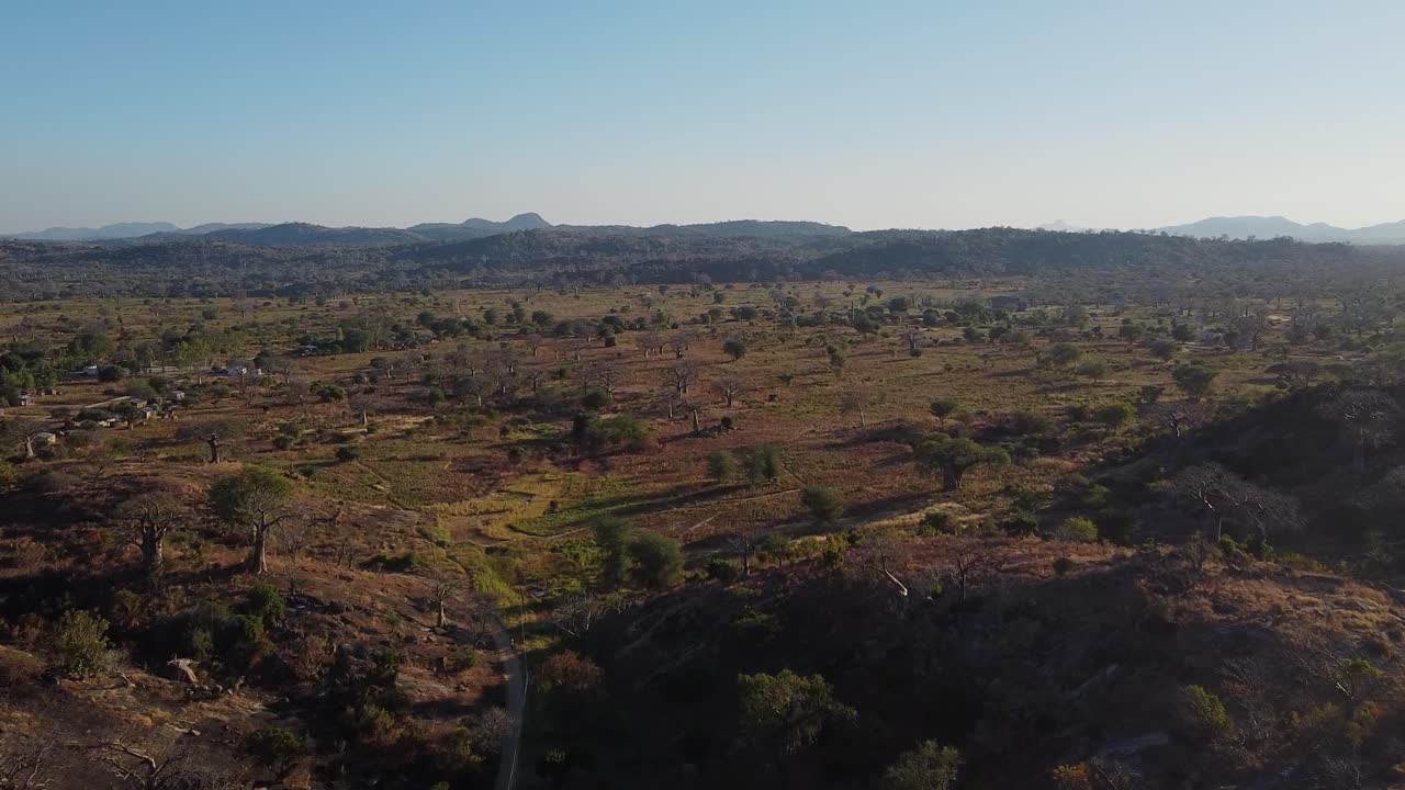 말라위 사바나 (malawi savannah) 의 원이 해변 (monkey beach)