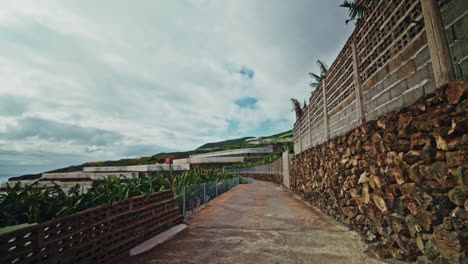 banana plantation road with stone walls