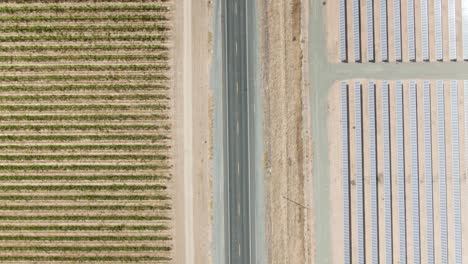 High-altitude-birds-eye-view-over-a-rural-road-with-solar-panels-on-the-right-hand-side-and-a-vineyard-on-the-left-hand-side