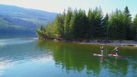 couple on stand up paddle board oaring in river 4k