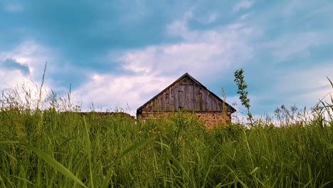 an old house with a wooden roof has grown into a large green hall