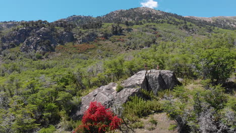 aerial - arrayanes national park, villa la angostura, neuquen, argentina, truck left slowmo