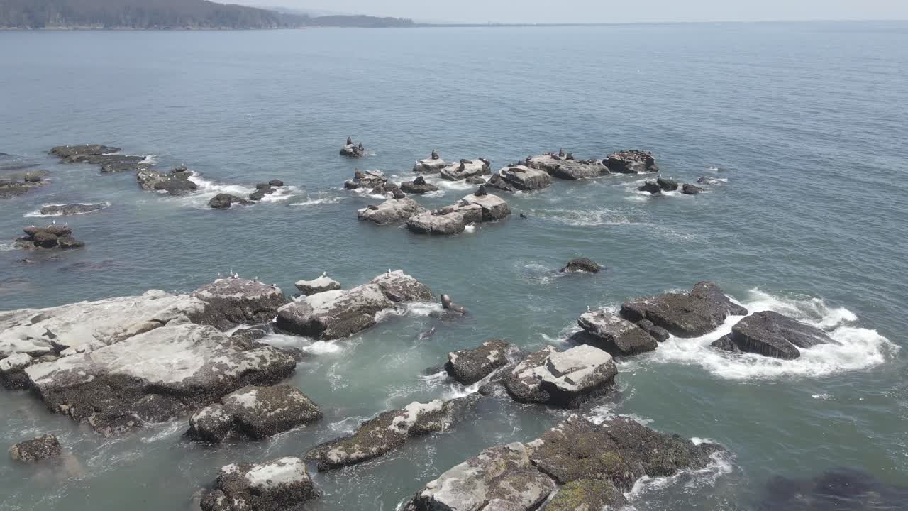 снимок с воздушного дрона океанских волн, бьющихся о скальные образования у побережья