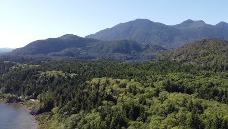 aerial view of kennedy lake, laylee island, vancouver island, canada