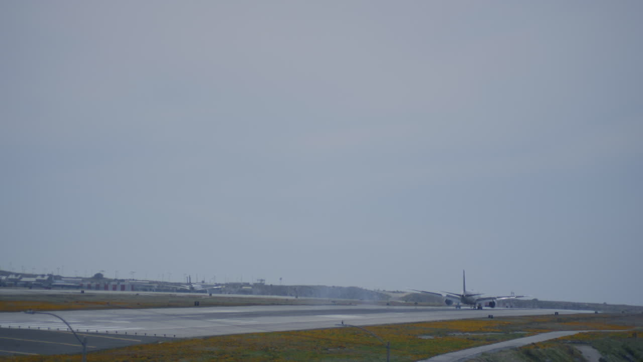 Aircraft landing on the runway in the airport