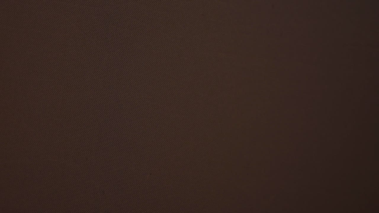 Dark Shadow Moving Reveals A Close Up Silhouette Of A Leaf From A Plant Backlit In Natural Light.