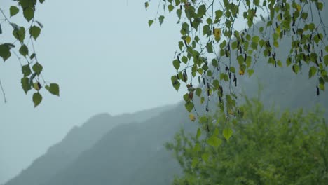 vista de la cámara de un lado a otro, bajo una lluvia ligera, rodeada de árboles y montañas, enfocándose en las hojas al frente y el escenario apenas visible detrás.