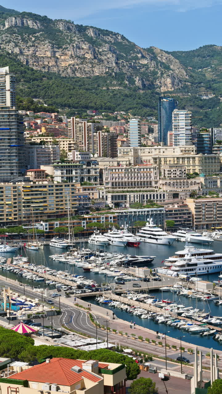 Vista di barche ormeggiate nel porto turistico di Monaco con lo skyline della città sullo sfondo. Verticale