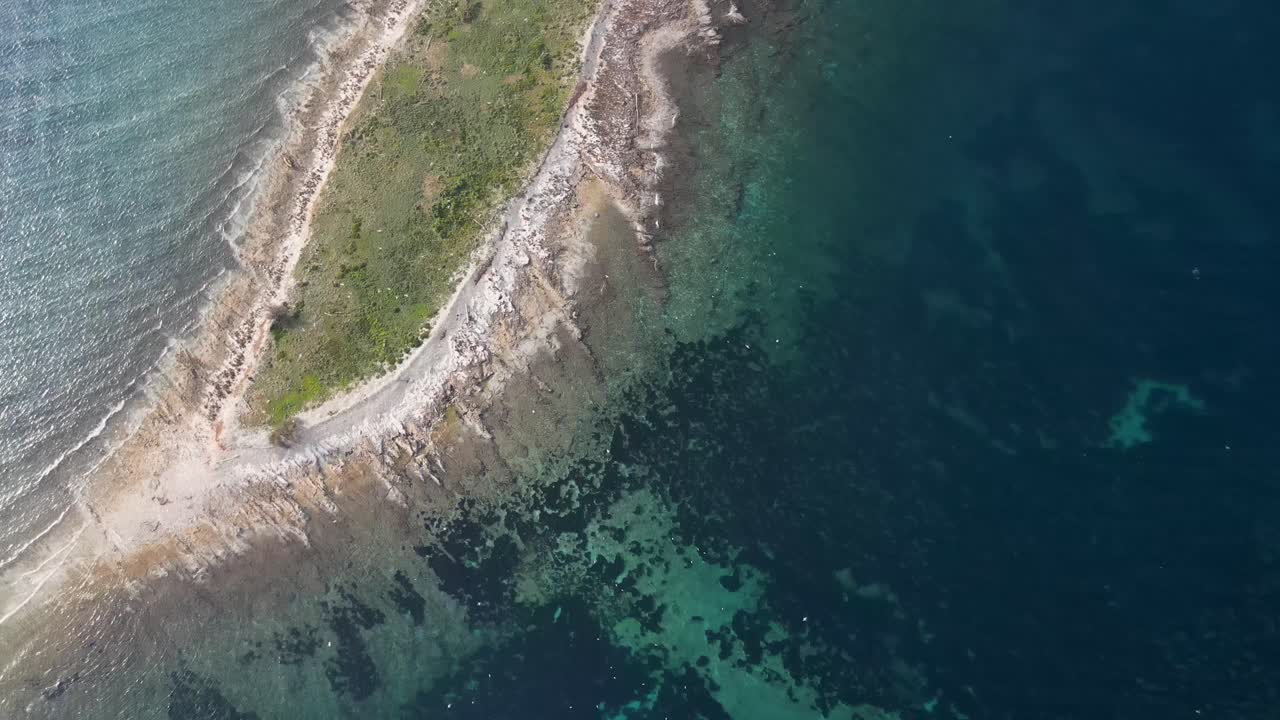 вид сверху на стаю чаек, пролетающих над берегом моря, дуги-оток, хорватия