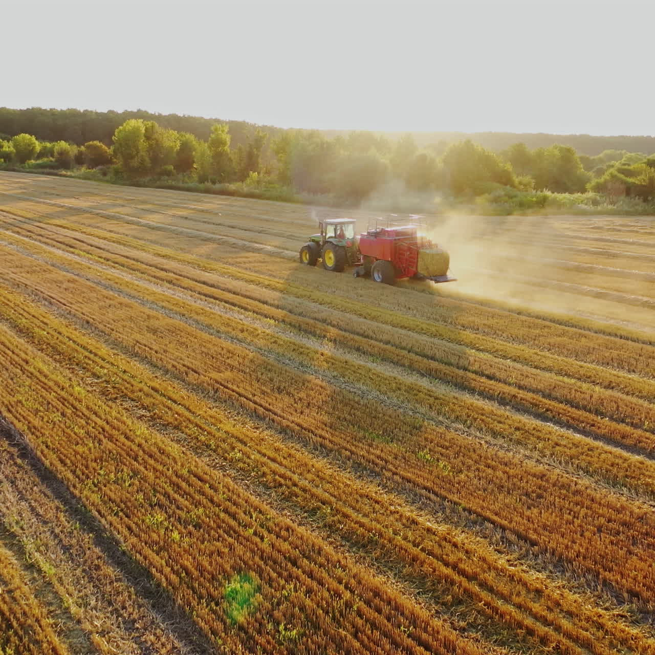 Tractor is collecting dried grass on the beautiful field background. Agricultural machine at seasonal works in summer. Motion camera forward.