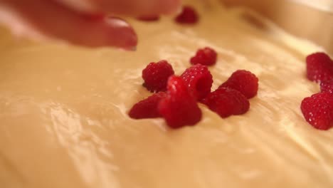 close up of person adding organic raspberries to a pastry dough in a baking tin