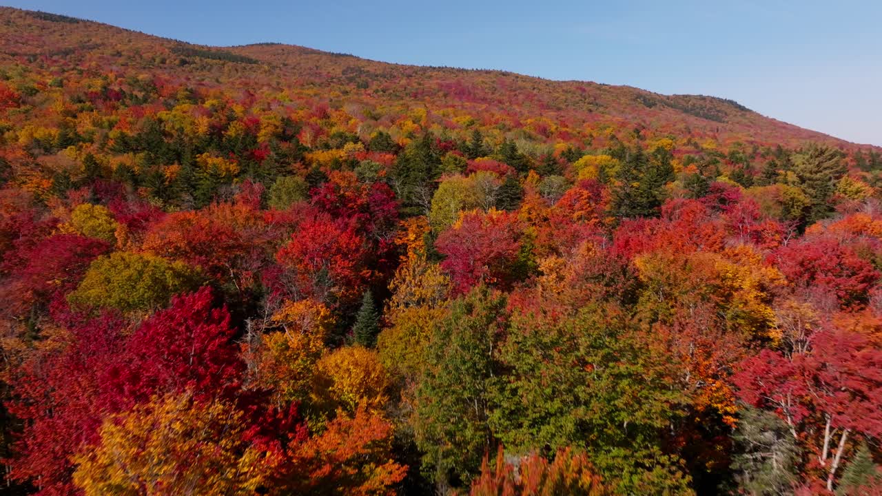 공중에서 볼 수 있는 뉴햄프셔의 최고 가을 색상