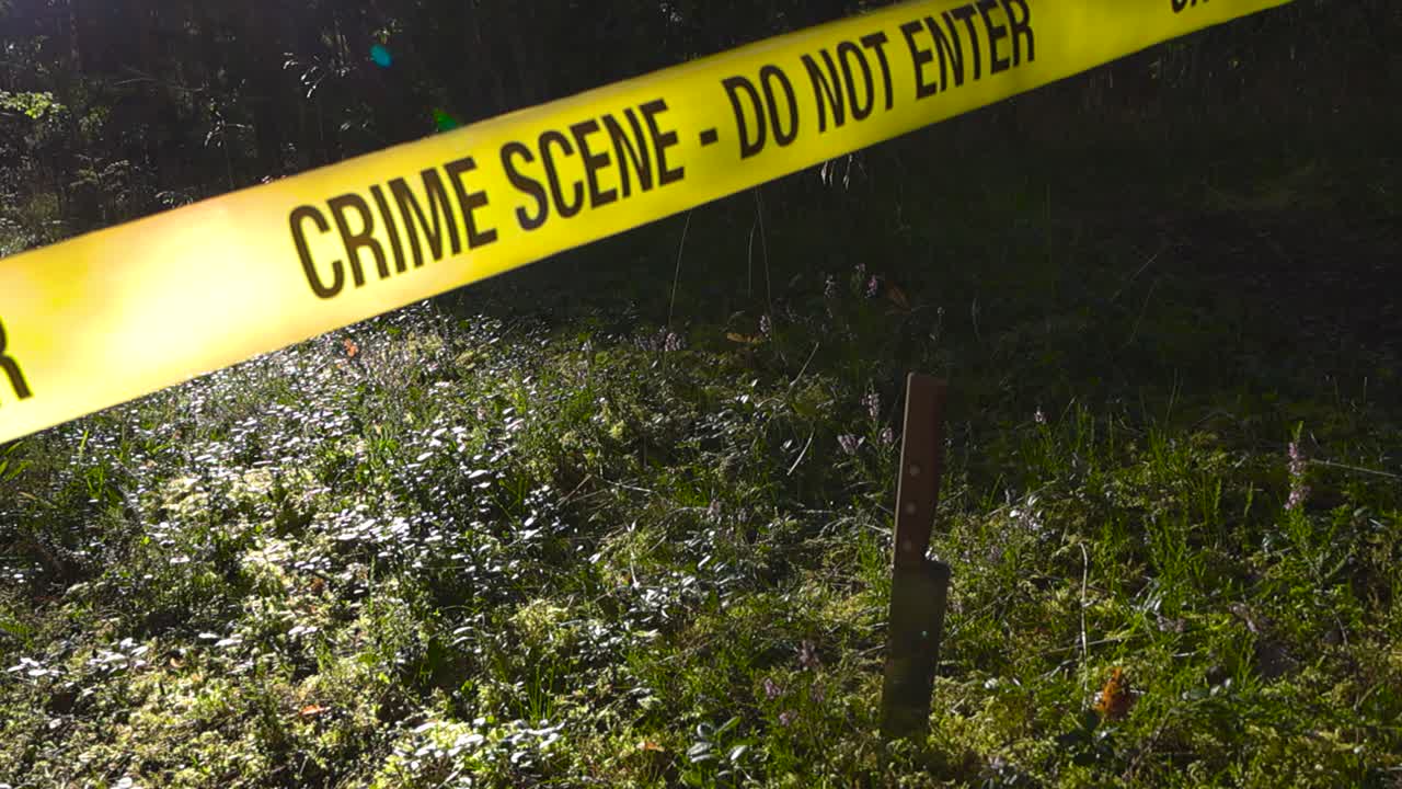 Yellow police line forensic investigation Crime Scene tape that is backlit by sunlight in a forest hanging above a shiny kitchen knife stabbed in a forest road where sunshine shines on foliage, plants