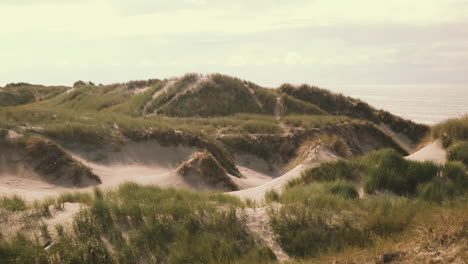 Vista-Panorámica-Sobre-El-Paisaje-De-Dunas-Con-Hierba-De-Dunas-En-La-Costa-Atlántica-En-Dinamarca