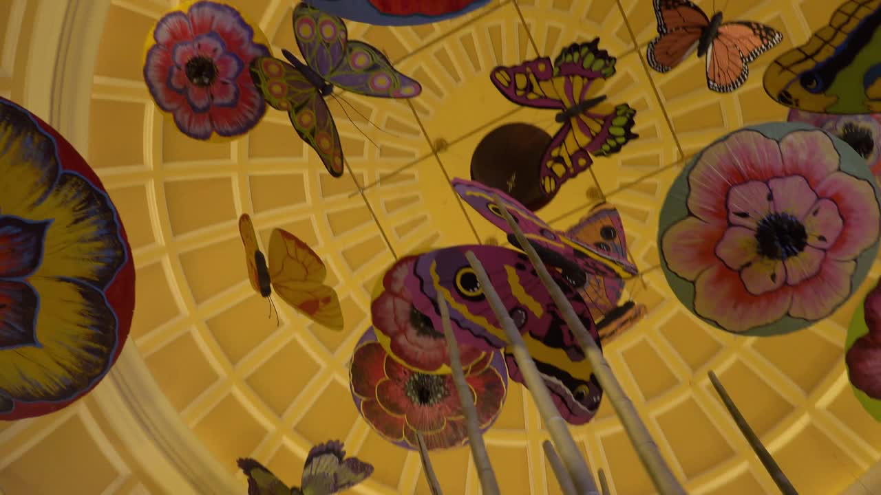 A trip to Las Vegas, Nevada