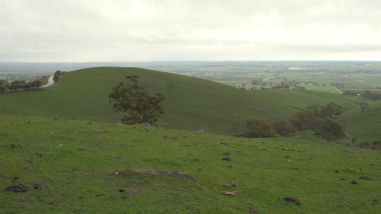 Rural Landscape With Rolling Green Hills Rifle Range Lookout In The Barossa Valley Near Adelaide, South Australia. Aerial Wide Shot