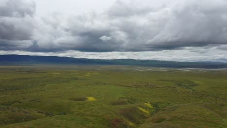 Flight-Over-Hills-Filled-With-Goldfields-Flower-Near-Carrizo-Plain-National-Monument,-USA---drone-shot