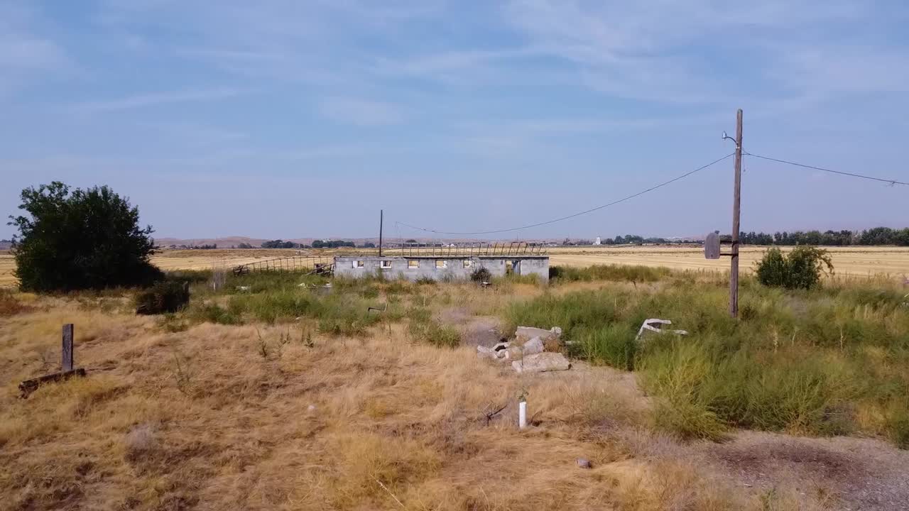 Ripresa drone che si avvicina a una struttura abbandonata in un campo di grano circondata da erbacce.