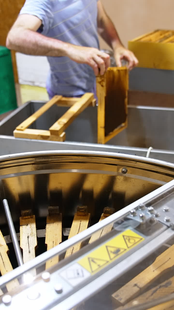 Apiculturist takes the frames from a wooden box and places them into metal box. Device for honey extraction at foreground. Vertical video