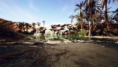 estanque de lago de oasis del desierto con palmeras