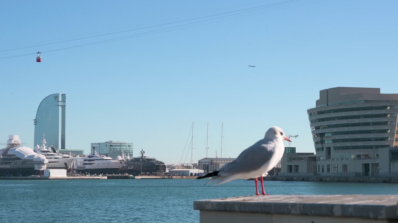 A seagull rests at Barcelona's bustling Port Vell in Spain. The scene contrasts a moment of urban nature with the famous Rambla de Mar bridge and Maremagnum shopping center in the background