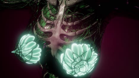 cuerpo humano con brillo visible glándula mamaria