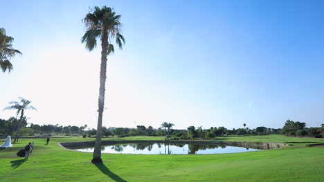 lake next to palm trees in an egyptian garden - push in