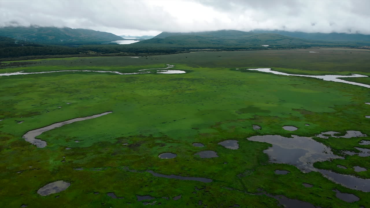 습지 풍경 의 공중 사진