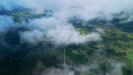 nubes esponjosas sobre el denso bosque y los prados verdes en el campo