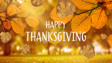 animación de feliz texto de acción de gracias sobre las hojas de otoño