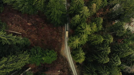 aerial view of a van on a forest road