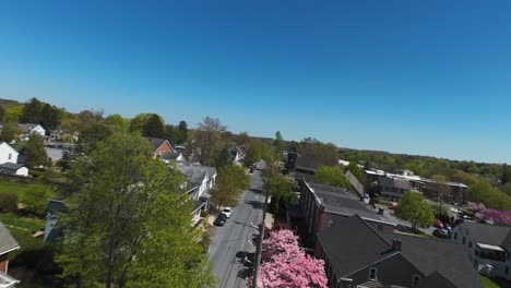 Aerial-fpv-flight-over-neighborhood-with-colored-trees-in-spring-season