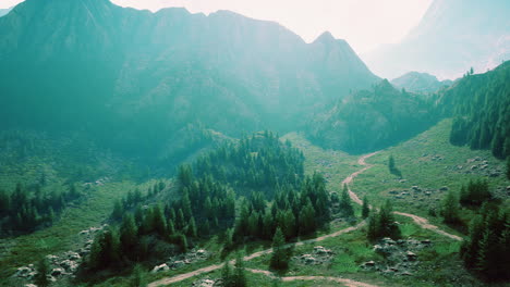 Vista-De-Pájaro-De-La-Carretera-Que-Atraviesa-Hermosos-Bosques-De-Pinos-Verdes